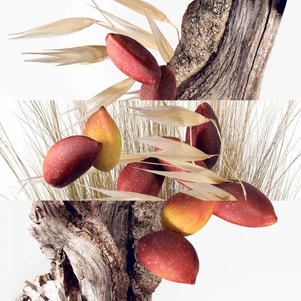 un-jardin-a-cythere-edt (2)