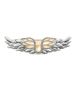 ZV 25 New Pillar EDP